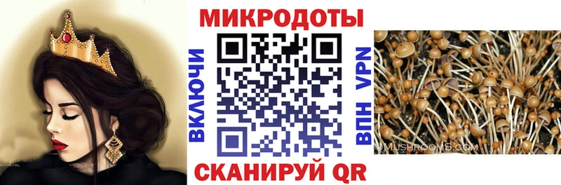 blacksprut ссылки  Йошкар-Ола  Галлюциногенные грибы Psilocybe 